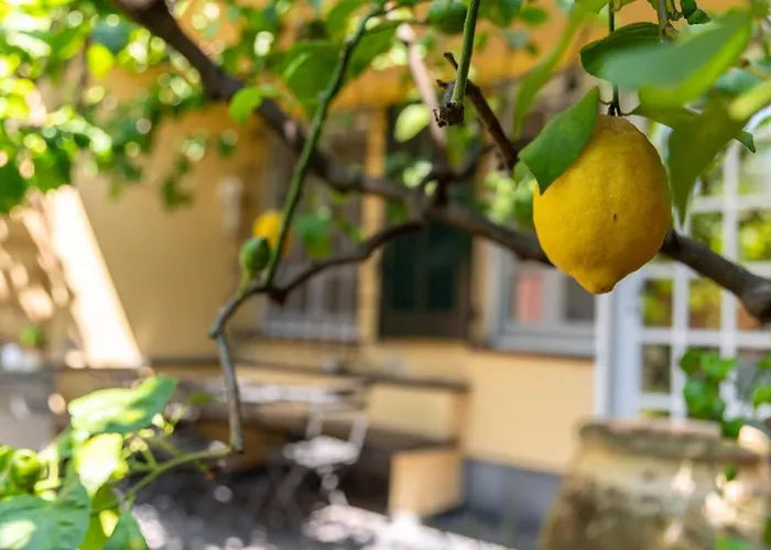 Questa - Oasi Sommersa Nel *