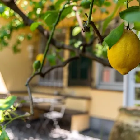 Questa - Oasi Sommersa Nel *
