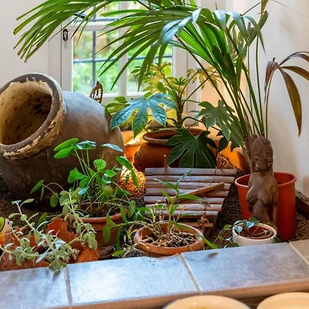 Questa - Oasi Sommersa Nel Villa Chiavari