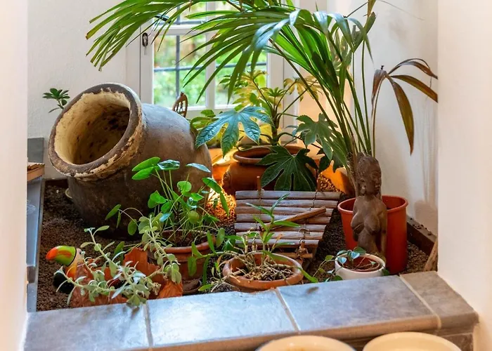 Questa - Oasi Sommersa Nel Villa Chiavari